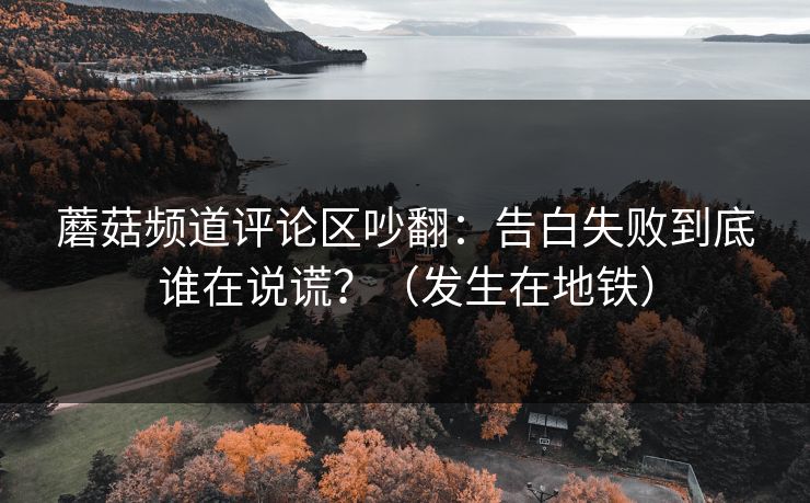 蘑菇频道评论区吵翻：告白失败到底谁在说谎？（发生在地铁）