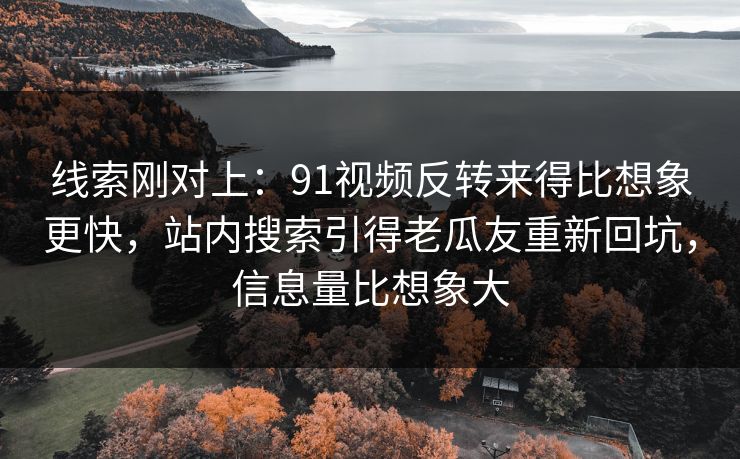 线索刚对上：91视频反转来得比想象更快，站内搜索引得老瓜友重新回坑，信息量比想象大